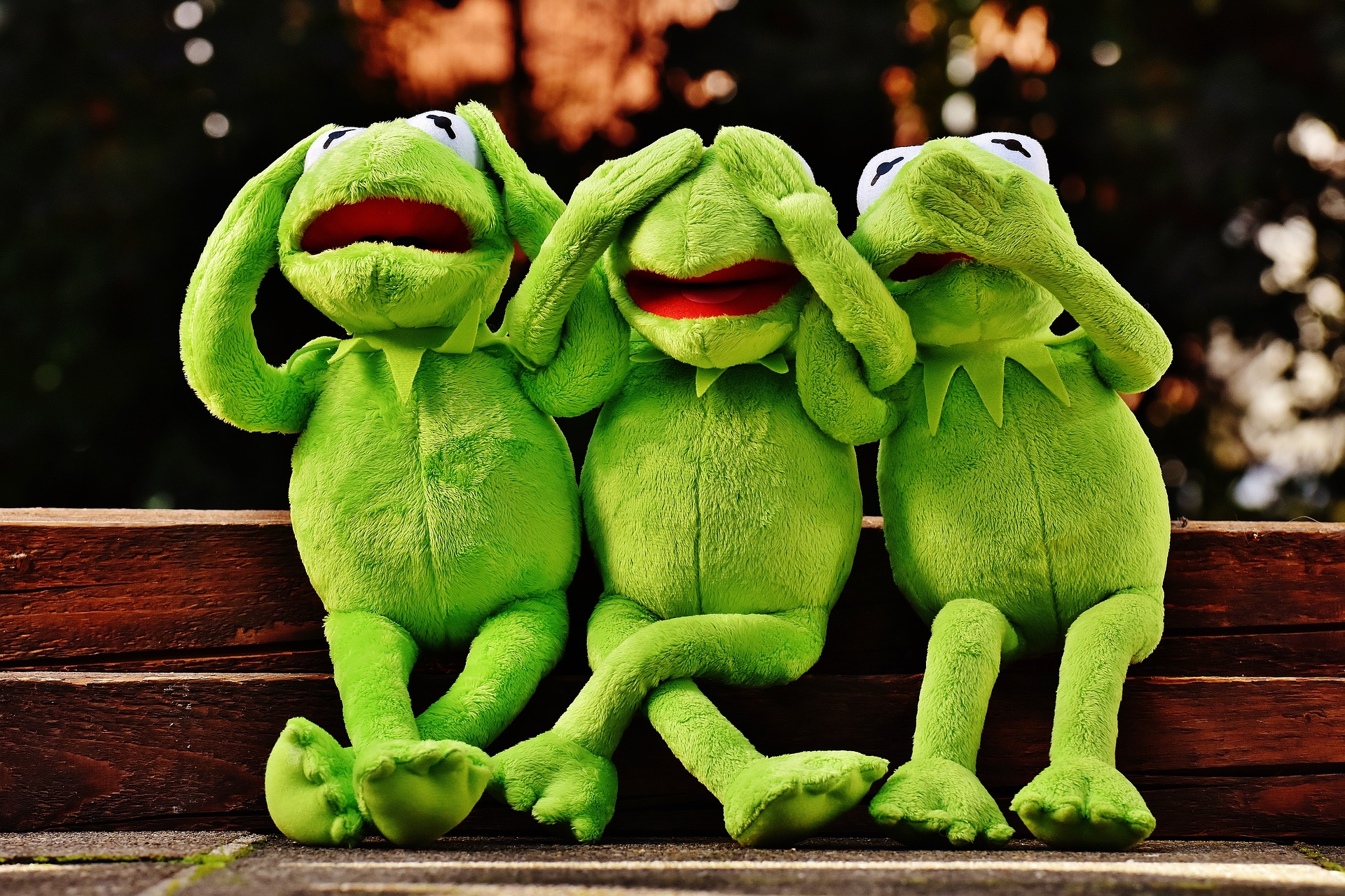 Immagine di copertina di Influencer Fallito